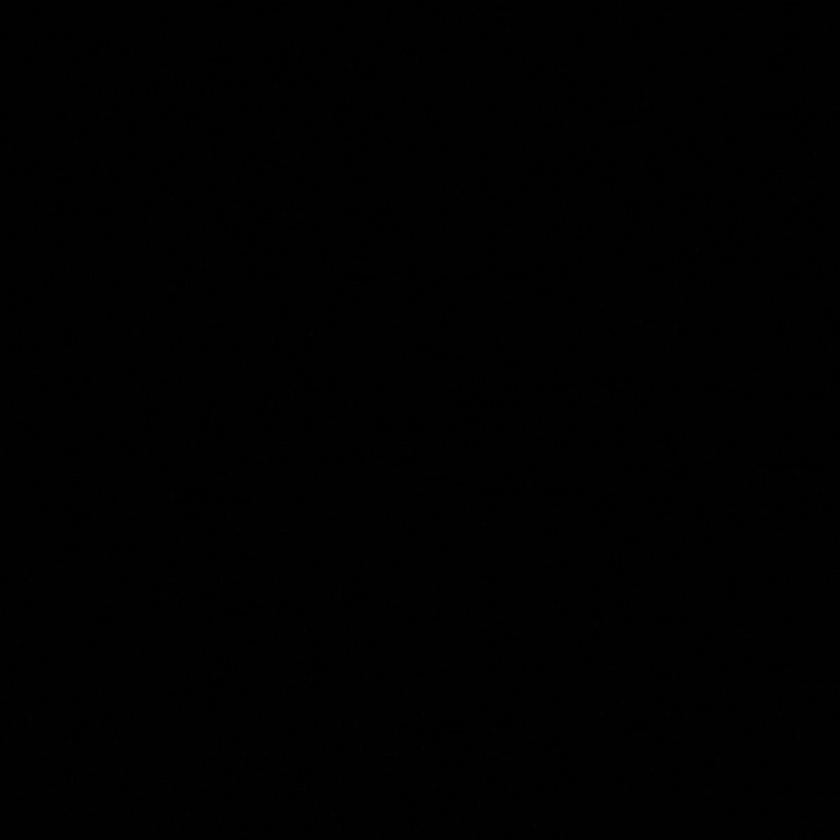 Black_Friday_11_Bilder.gif
